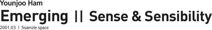 Emerging Ⅱ Sense & Sensibility
